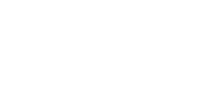 The Sales Academy